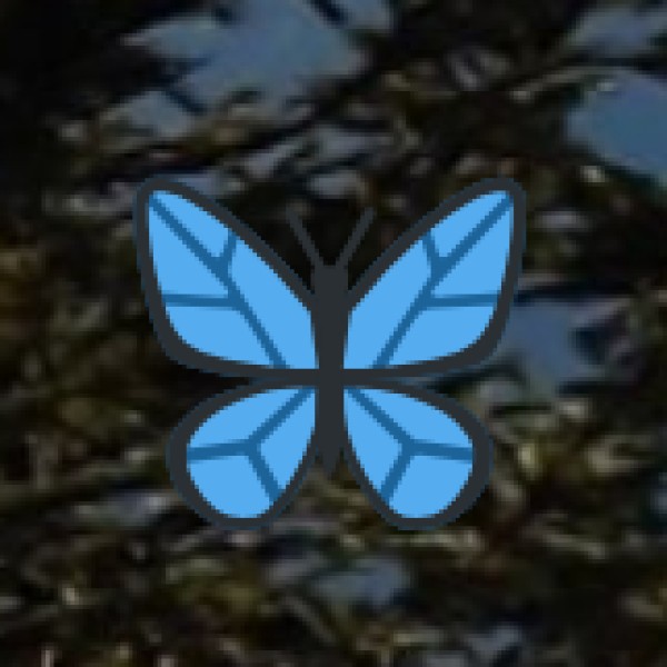 Suryalanka Beach (Bapatla)