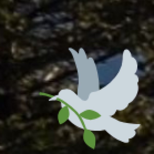 Mughal Road – The Historic Trade Route