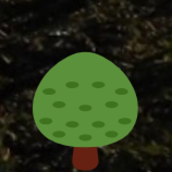 Baleshwar Beach – The Coastal Beauty