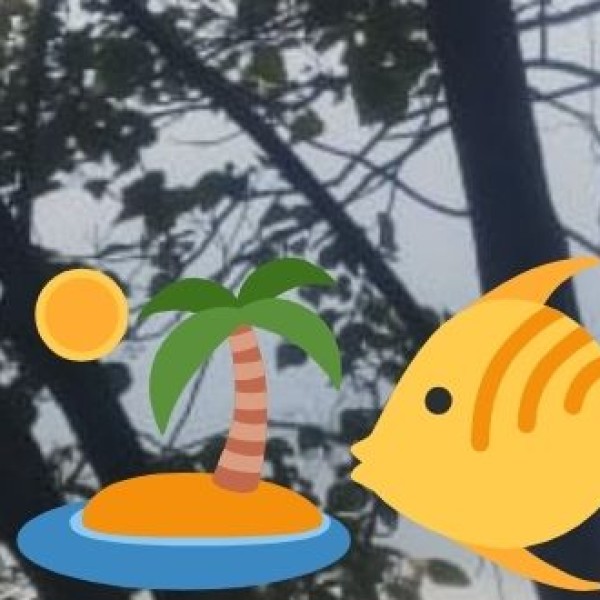 Lake & Backwater Tourism (Coastal Alternatives)