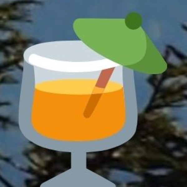 Why Visit Goa’s Beaches?