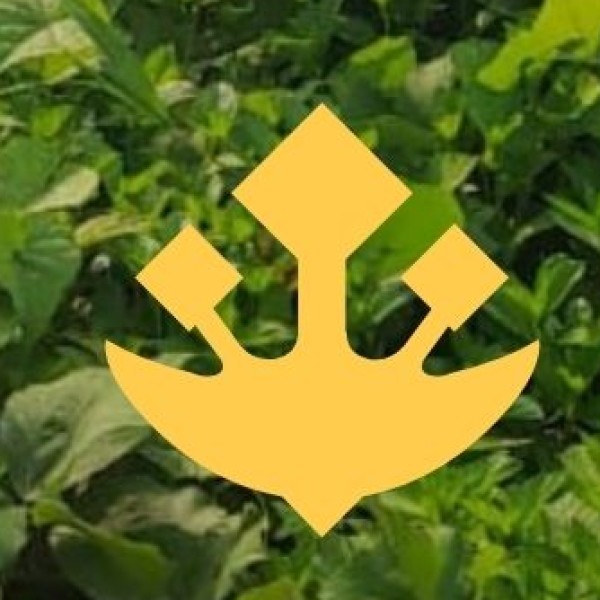 • Unique Architectural Styles: