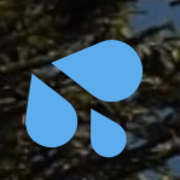 Most Beautiful Beaches in Odisha – A Coastal Paradise