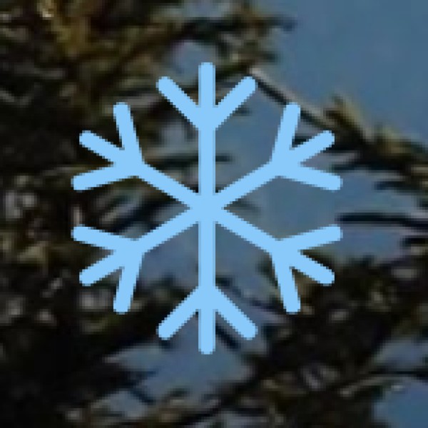 Marine Biodiversity and Scuba Diving: