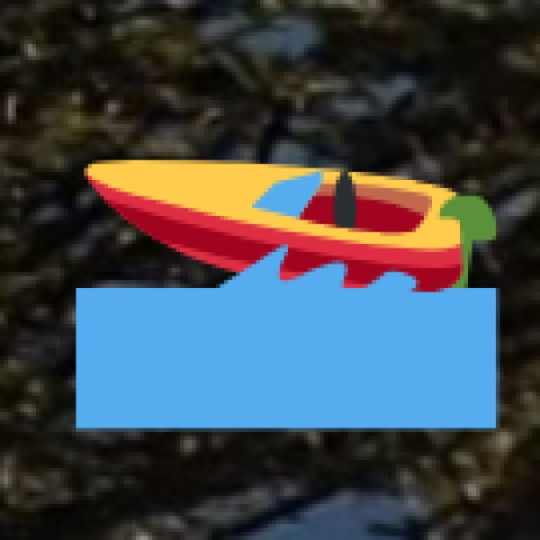 Best Beaches in Kerala