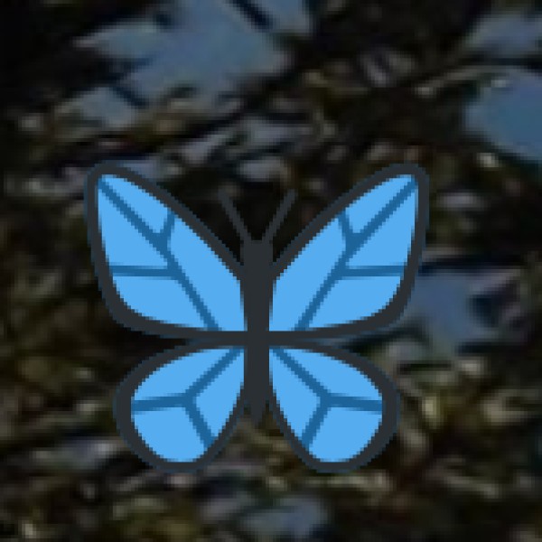 o Crystal Clear Rivers: