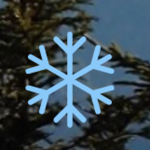 • Hill Stations & Scenic Vistas: