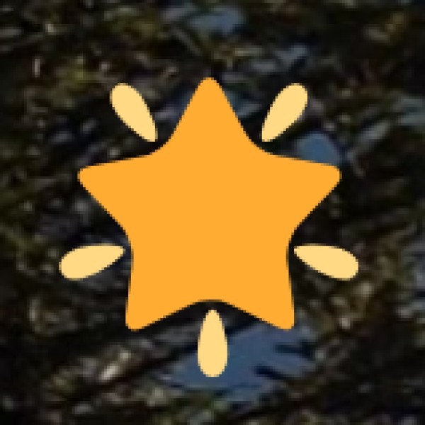 Bhadrachalam (on the Godavari River)