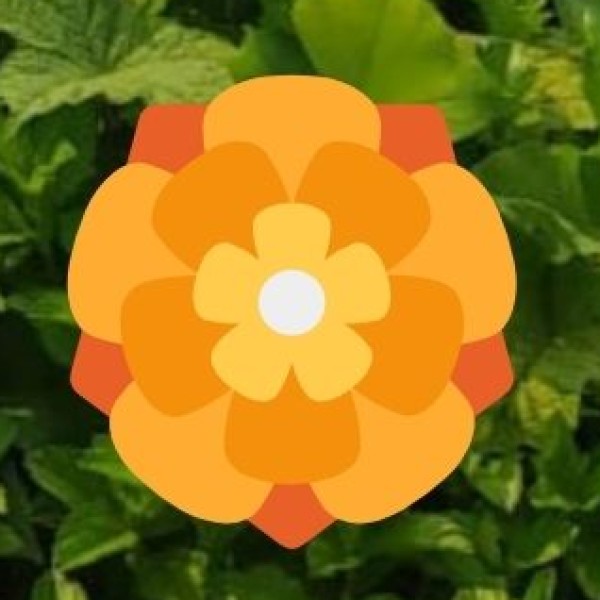 . Nature, Hill Stations & Adventure Tourism