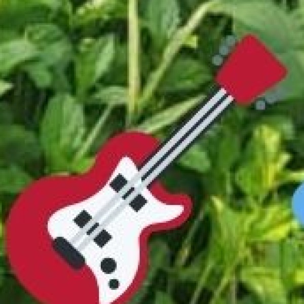 Ziro Music Festival – India’s Biggest Indie Music Festival