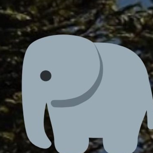 Elephanta Festival – Classical Dance & Music on an Island