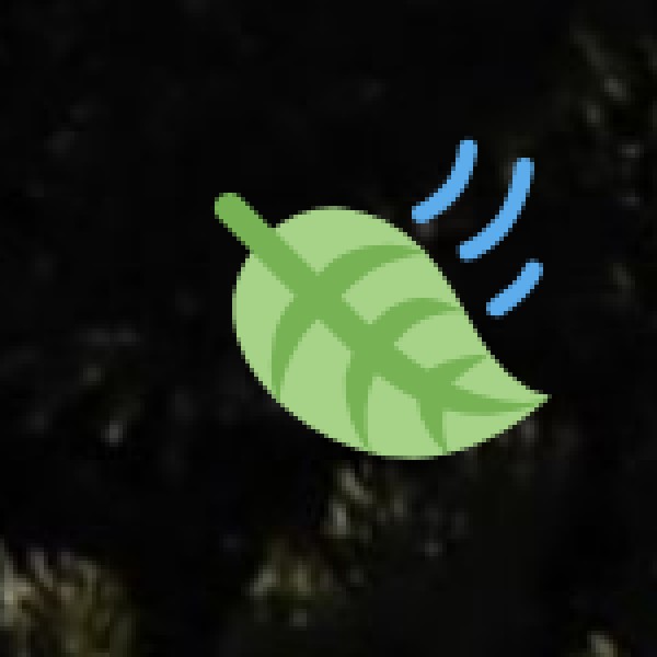 Cuisine