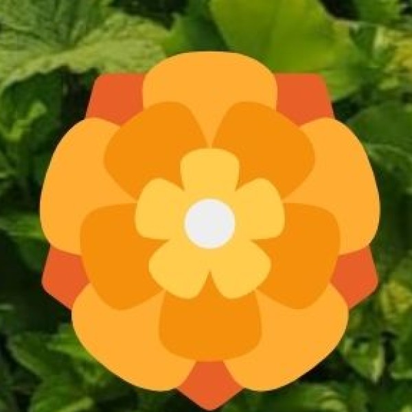 Phool Dei – The Festival of Flowers & Harvest