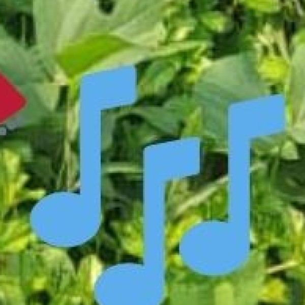 Classical Music & Dance