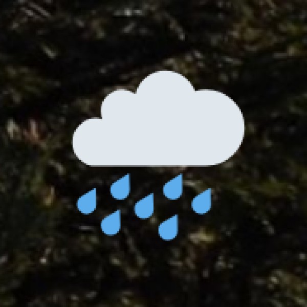 Monsoon