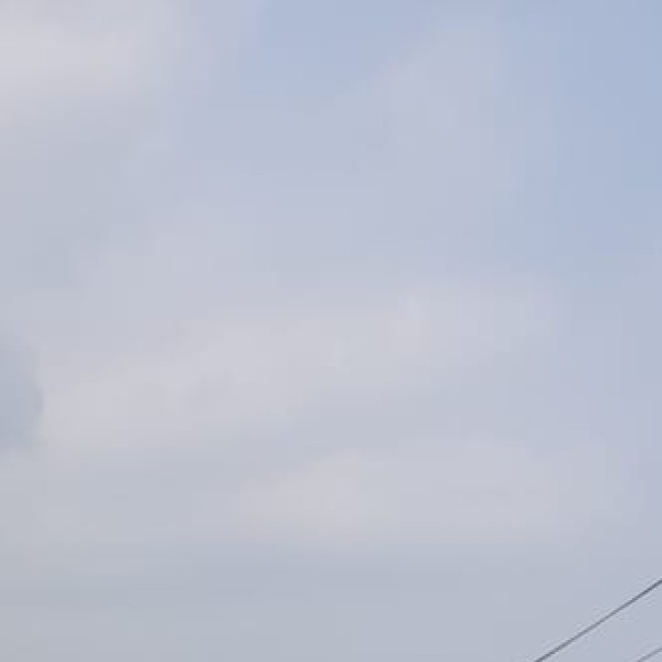 o Hornbill Festival: