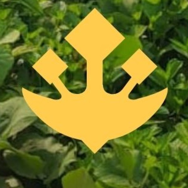 Evolution and Context