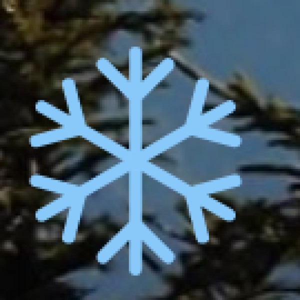 Major Business Events