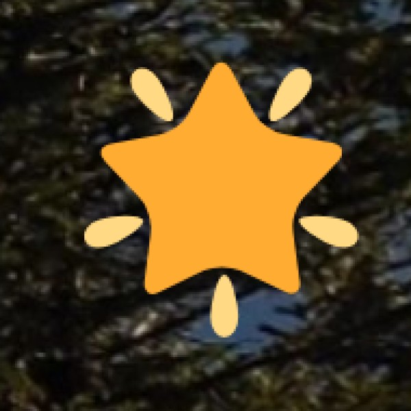 Supporting Infrastructure for Business & Educational Tourism