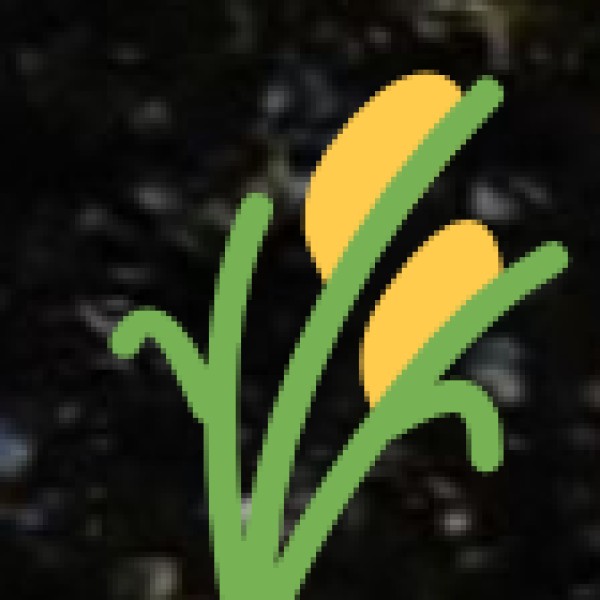 Veterinary and Agricultural Research