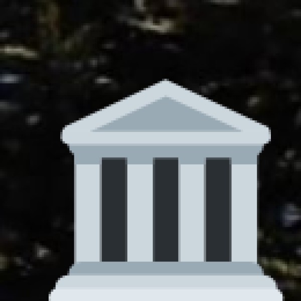 • Government Policies and Initiatives: