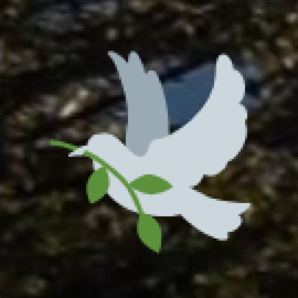 Educational Tours and Museums