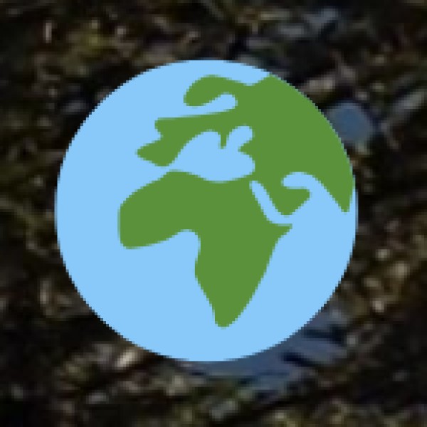 o Team-Building Activities: