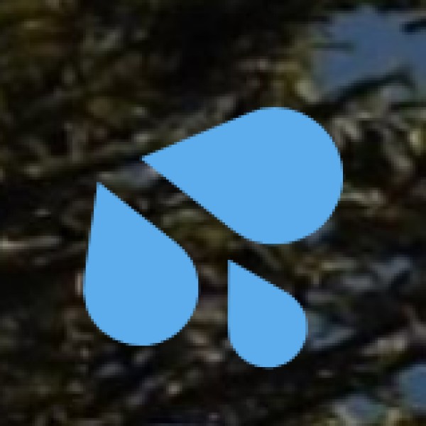 dual-identity destination