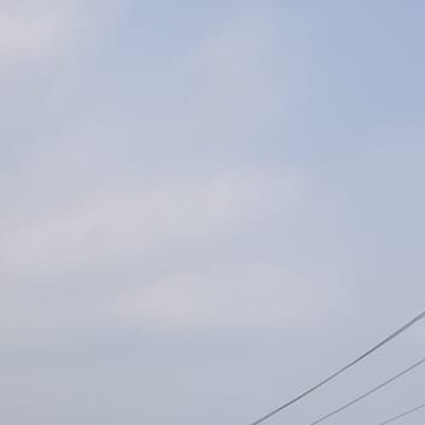 Renewable Energy Sector