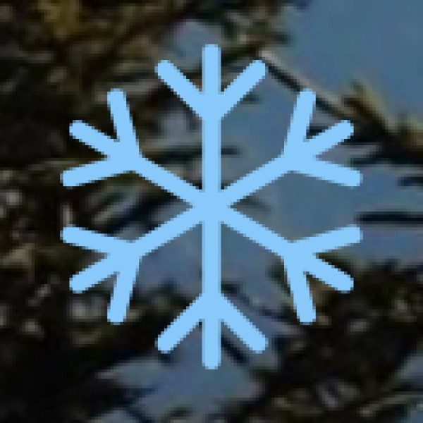 Key Educational Destinations