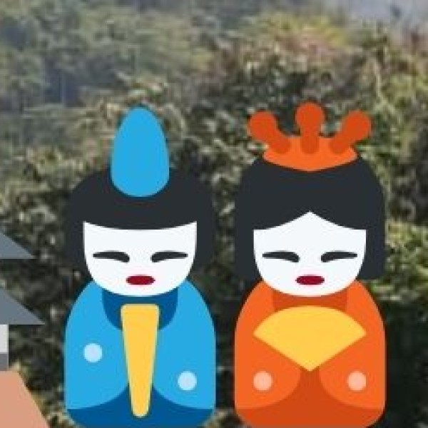 Border Area Development Programme (BADP):