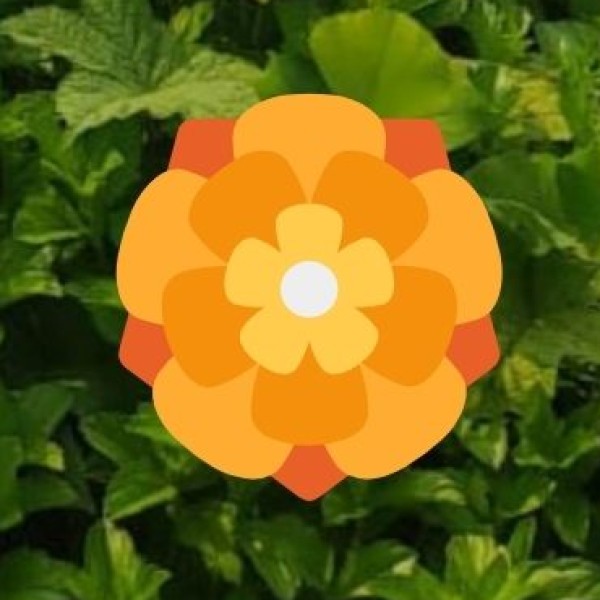 • Key Factors Attracting Business Tourism: