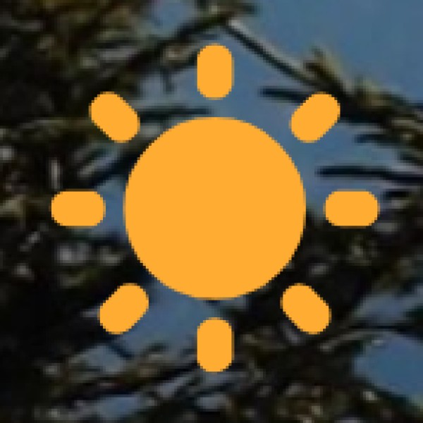 Key Drivers and Initiatives: