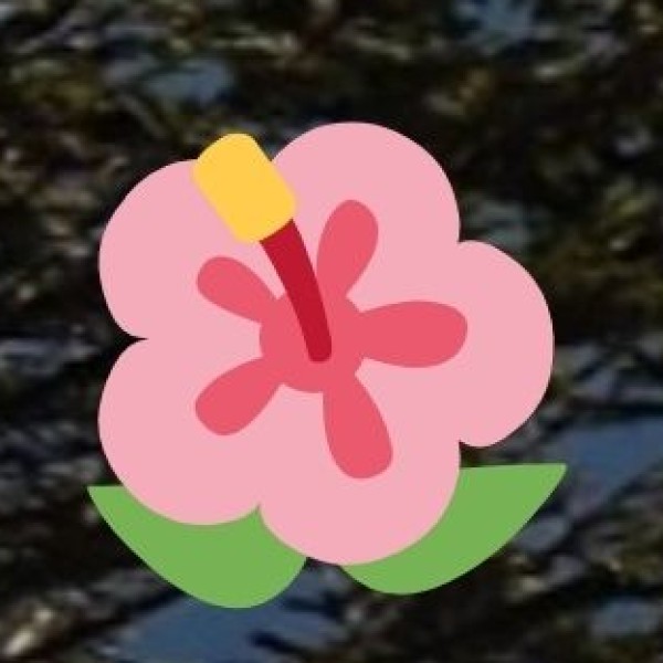 Medical and Paramedical Tourism