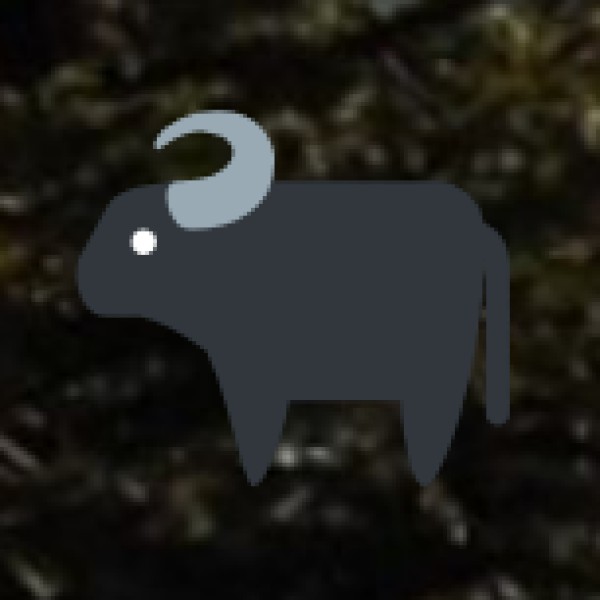 5. Wildlife & Nature Tourism: