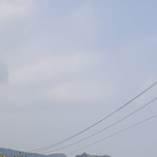 Petroleum & Energy Sector