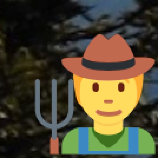 Government Support and Policies