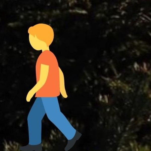 International Student Exchange & Collaborations