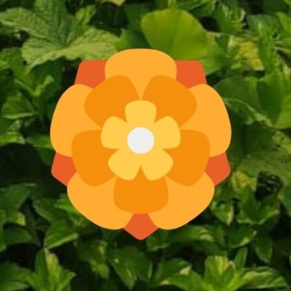 Workshops & Programs: