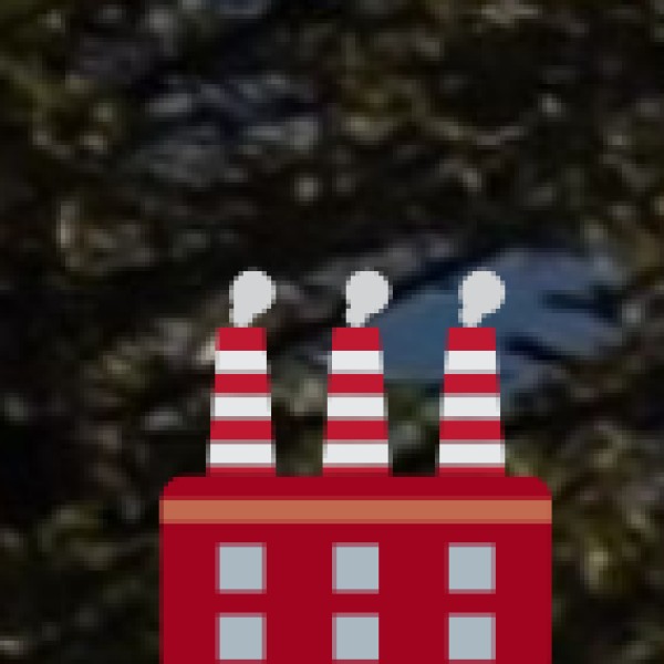 MICE Tourism (Meetings, Incentives, Conferences, Exhibitions)