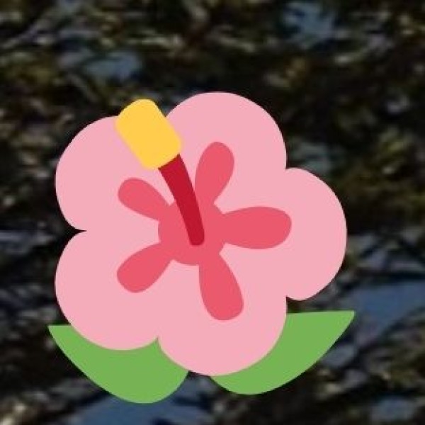 • Supporting Services: