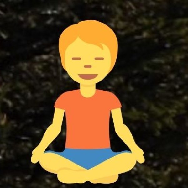 Wellness and Corporate Retreats