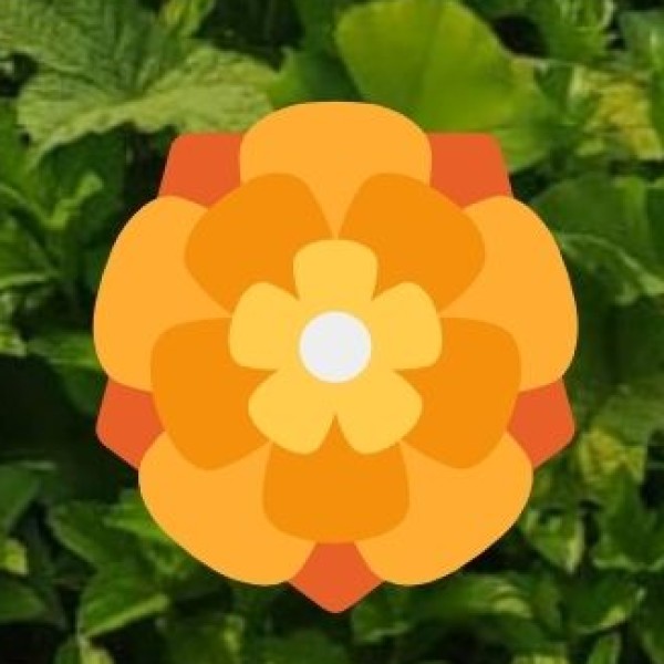 Popular for Research & Study Tours