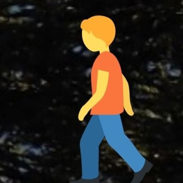 Facilities for Educational Tourists