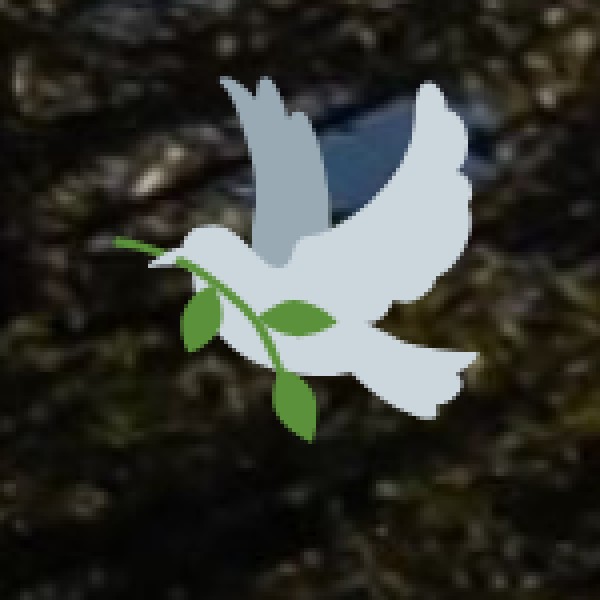 o Hornbill Festival: