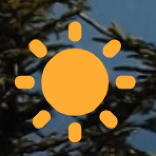 Government Initiatives & Industrial Development