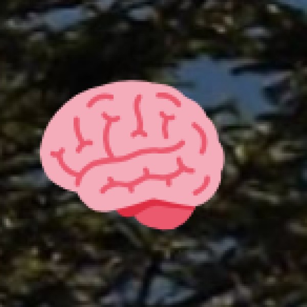 • Research Centers: