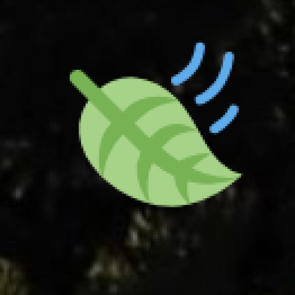 Medical and Allied Tourism