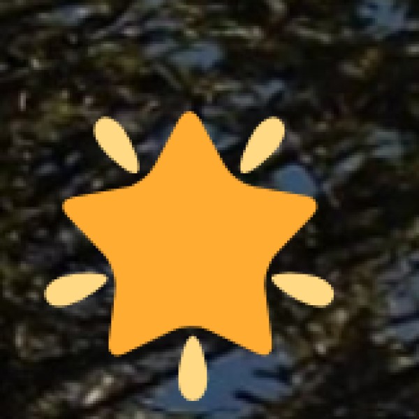 COMBINED BUSINESS & EDUCATION INITIATIVES