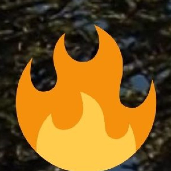 Petroleum & Energy Sector